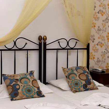 金星精品酒店 Alikí