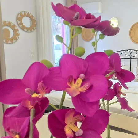 Aphrodite Boutique 3* Αλυκή