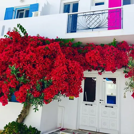 Ξενοδοχείο Aphrodite Boutique 3*