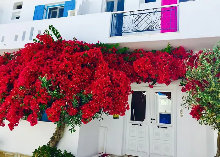 Ξενοδοχείο Aphrodite Boutique 3*